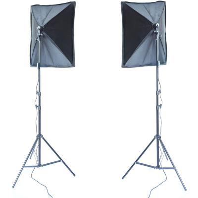 China Supplier Best Photographic Equipment Professional Studio Lighting Kits For Photography FL5002 for sale