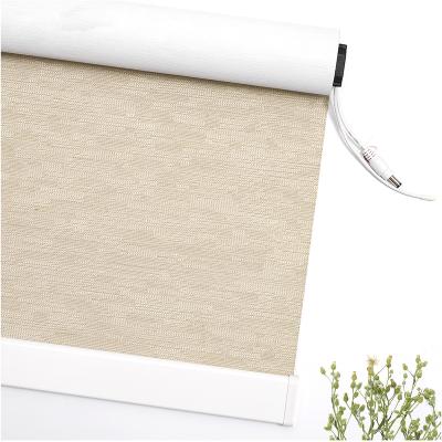 China Art Decor Easy Open and Narrow Electric Motorized Battery Motorized Window Roll Curtain Automatic Roller Blinds for sale