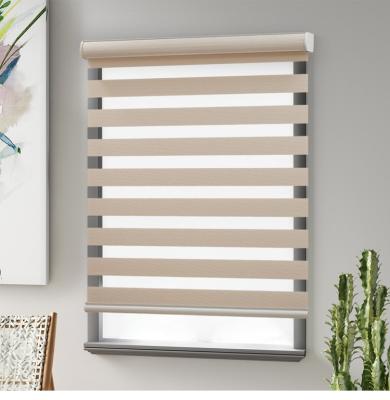 China Day and Night Minimalist Custom Zebra Roller Shade Shades Polyester Fabric Shades Light Up Combi Filtering Shades for sale