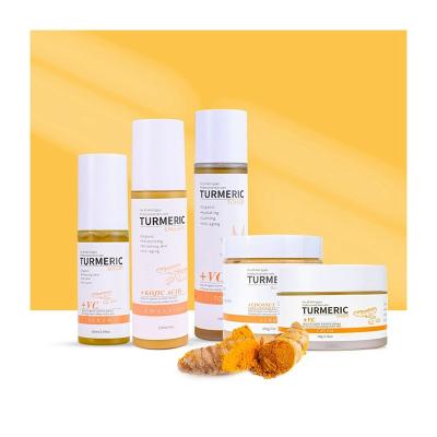 China Private Label Turmeric Anti Aging Face Skin Care Sets With Logo Natural Vegan Organic Powder Facial Products Skin Care for sale