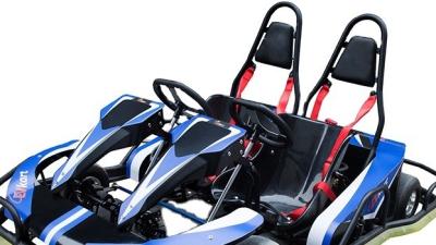 China App Adjustment Control Playground Gokart for sale