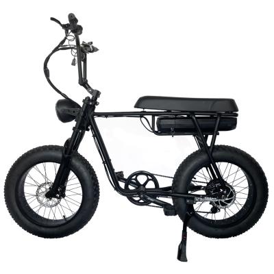 China China Factory Two Seats 20 Inch Ebike Pedal Aluminum Alloy Assisted E Bicycle Electric Bike for sale