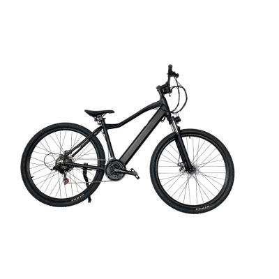 China Chanson 36V 250W Aluminum Alloy Brushless Speed ​​Mountain Electric Bicycle 21 Electric Bike for sale