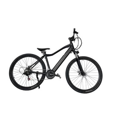 China Aluminum Alloy Frame Aluminum Alloy Electric Bicycle Hidden Battery Brushless 29Inch Fat Tire Ebike for sale