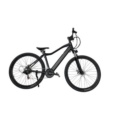 China Hot Sale 21 Speed ​​Aluminum Alloy Mtb Electric Bike Goods Mechanical Disc Brake Bike for sale