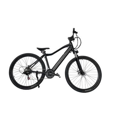 China Electric Aluminum Alloy Factory Supplier 29Inch Electric Bicycle 250W Aluminum Alloy Bike for sale