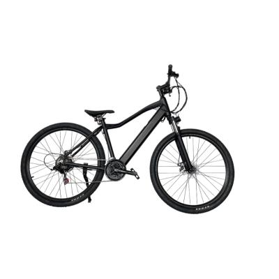 China High Quality Hidden Electric Bicycle 21 Speed ​​29Inch Electric Mountain Aluminum Alloy Battery Wholesale for sale