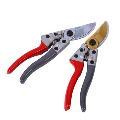 China High Quality Stainless Steel SK5 Anti-Slip Handle Fruit Tree Trimming Scissors Shears for sale