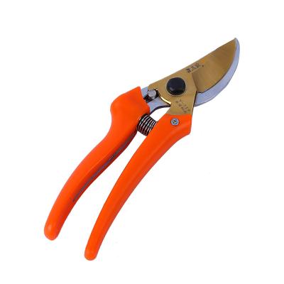 China High Quality Carbon Steel Anti-skid Handle Fruit Tree Shears Garden Hand Tools for sale