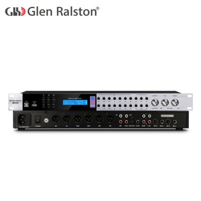 China Adjust Glen Ralston M228 karaoke special digital audio effect dsp mixer music audio processor DJ bass for sale