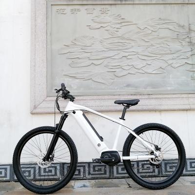 China Aluminum alloy boxu 250w mid torque sensor motor electric mountain bike mid drive for sale