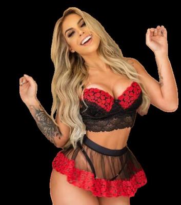 China Cotton Women's Nylon Bra Underwear Set Factory Price Lace Up Women's Two Piece Set Large Underwear Fun Pajamas for sale