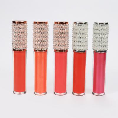 China Waterproof Brand New Best Lip Glosses New Design Lipstick Base Lip Gloss Glitter for sale