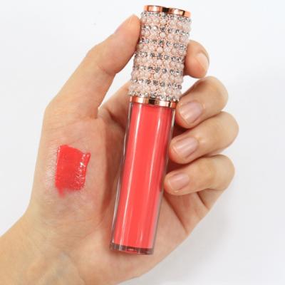 China 2021hot sale wholesale waterproof lipstick display moisturizing lip gloss handmade plastic lip gloss soft tube for sale