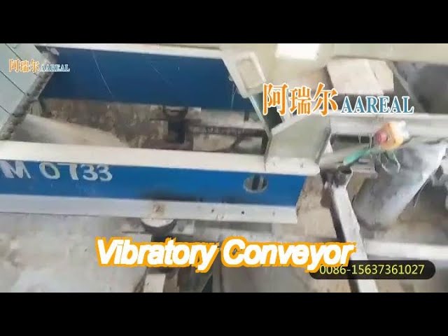 600mm*8000mm stainless steel leaf spring eccentric vibratory conveyor for salt conveying