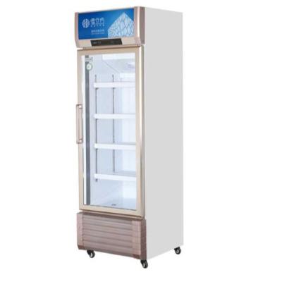 China Single-temperature Glass Door Glass Display Fridge Display Freezer Glass Display Case for sale