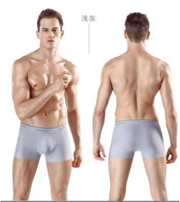 China Antibacterial Boys And Mens Boxers Briefs Custom Acceptable Ice Silk Underwear for sale