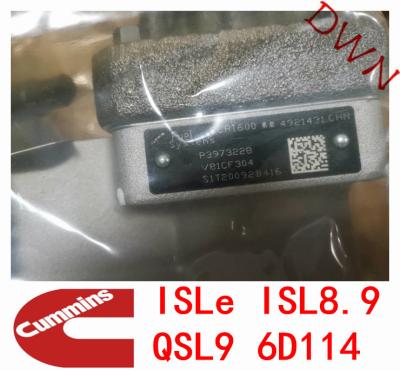 China Cummins-Dieseleinspritzungspumpe 3973228 = CCR1600 = 3973228 =4921431 für Dieselmotor Cummins-Insel-ISL8.9 QSL9 6D114 zu verkaufen