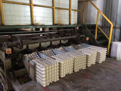 China Eco - Friendly Paper Egg Crate Making Machine With 2500 - 4000pcs / Hour Capacity for sale