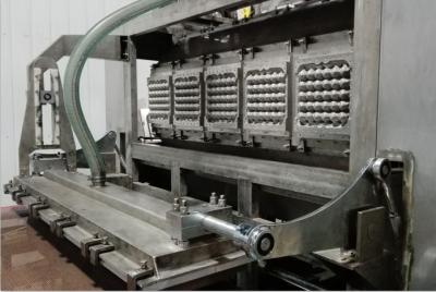 China Automatische Energie - de Pulp Vormende Machine van het besparingspapier voor het Gevormde Dienblad van het Pulpfruit Te koop