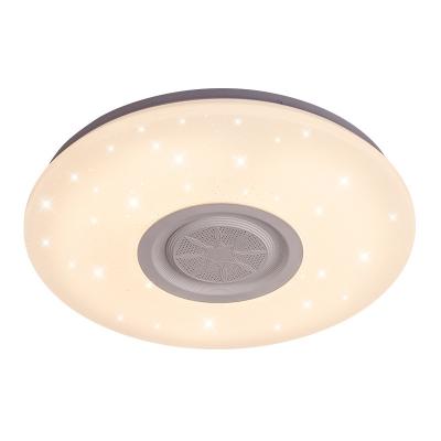 China OEM Wifi BT Outdoor Mounted Ceiling Light with Music Speaker Bedroom LED Smart Remote Control Light Mobile APP Remote Control for sale