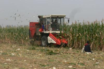 China Maize Boyo 4YZ-3 Maize Harvester With Reliable Performance for sale