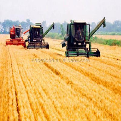 China Design for wheat and rice harvesting 4LZ-3.0 wheat combine harvester machine for sale