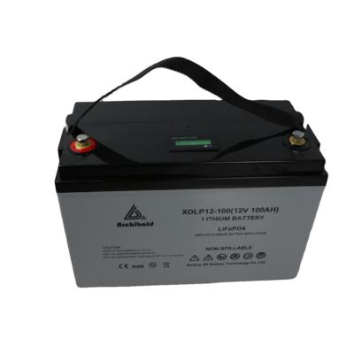 Cina Carretto di golf della barca di Ion Deep Cycle Battery For rv del litio del ciclo Lifepo4 12v 100ah dell'OEM 5000 in vendita