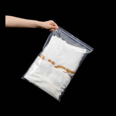 China Moisture Proof Product name clear small plastic zipper top bag Custom Size Accepted for sale