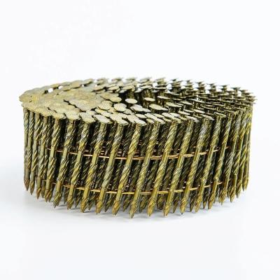 China Hebei Dayou Zinc Wire Coil Clavos Helicoidales Flat Nail 3 Inch Roll Nails For Building Pallets for sale