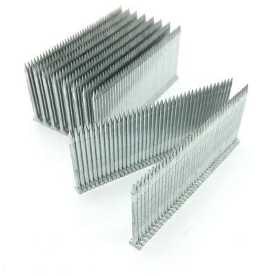 China Q195 carbon steel Hebei Dayou high qualityST type tip nails row steel nails interior decoration for sale