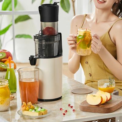 China Outdoor Kitchen Appliance Whole Apple Fruit Big Mouth Cold Press Slow Juicer for sale