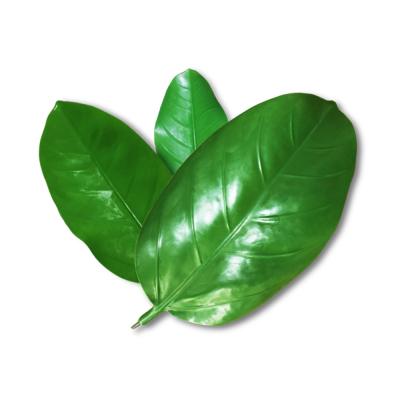 China Coastal Custom High Quality Outdoor Green Decoration Leaves Branches Artificial Banyan Leaves For Zoo Theme Park for sale