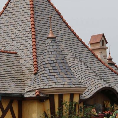 China 220*425mm Coastal UV-Resistant Durable Tumble Wood Roof Tiles for sale