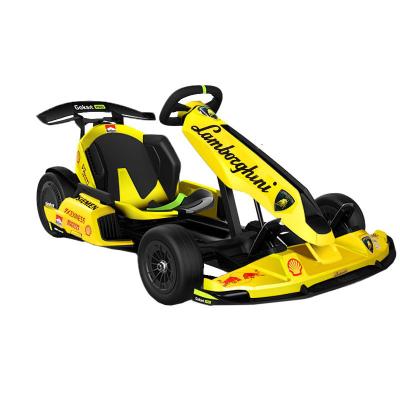 China High performance entertainment equipment electric go kart scooter high power electric scooter other for sale