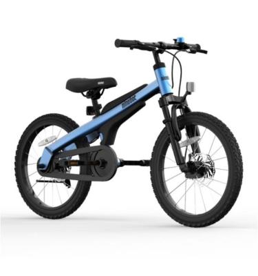 China 18 Inch Children's Iron Ninebots Bikes Blue Two Wheels Kids Sports Mountain Bikes For 5-10 Years Old Balancing Electric Scooters for sale