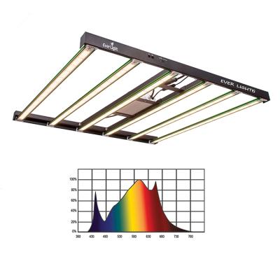 China Seed Starting High Efficiency LM301B LED Grow Lights Full Spectrum 600W Led For Growing Light for sale