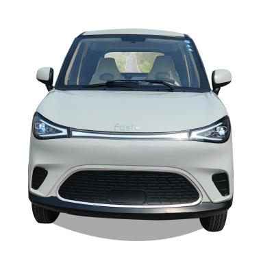 China Factory Direct Sale 3kw Four Wheel Fabric Electric Vehicle New Energy Vehicle for sale