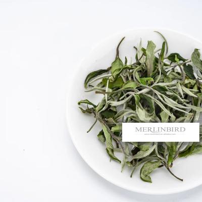 China Loose Tea Organic Bai Mu Dan White Tea for sale