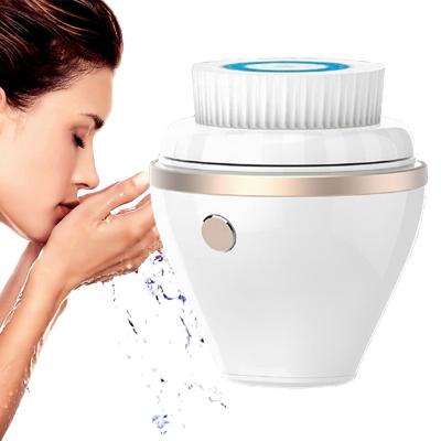 China 2022 Best Selling Silicon Exfoliators Electric Facial Massager Usb Facial Cleansing Brush for sale