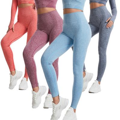 China Breathable Yoga Sports Pants Workout Women Seamless Yoga Gaiters for sale