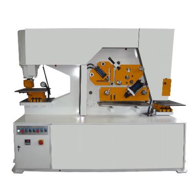 China Double Cylinder Metal Shear Machine Ironworker Machine Tool HIW-120S for sale