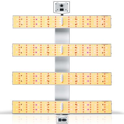 China Seed Starting SUNRAISE BAR2400 USA Free Shipping Spectrum IR UV Daisy Chain Dimmable 240W LM Smartbar Sunraise Full Led Grow Light for sale