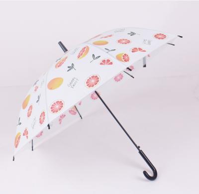 China Retractable Contemporary Korean Clear Transparent Design Printed Umbrella for sale