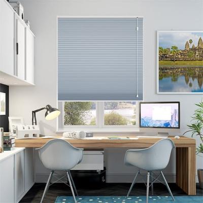 China Dustproof/Waterproof/Easy to Clean/Anti-Fire Hot Selling Wifi Motorized Design Roller Shades/Roller Blinds Customized Window Blackout for sale