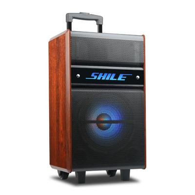 China Large Trolley 50W Outdoor Portable Blue Tooth Wireless Guitar Active Speaker for sale