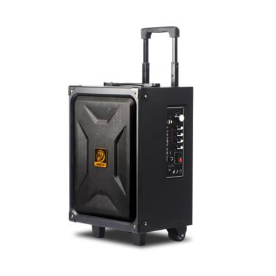 China Private Wireless Sound System Model Portable Outdoor Active Trolley Speaker Powered BT Rechargeable Wireless Speaker Professional Audio for sale