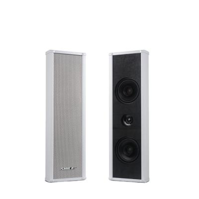 China professional brodacast 4inch column 30w outdoor waterproof speaker BX-204 for sale