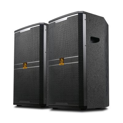 China Professional 350W Bar And Conference Sound System Big Passive Audio Speaker BM-12 for sale