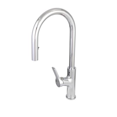 China 15YRS OEM/ODM Factory Kitchen Faucet Stainless Steel Contemporary Modern Water Tap Faucets 304 Pull Out Sprayer Kitchen Mixer Sink Faucets for sale